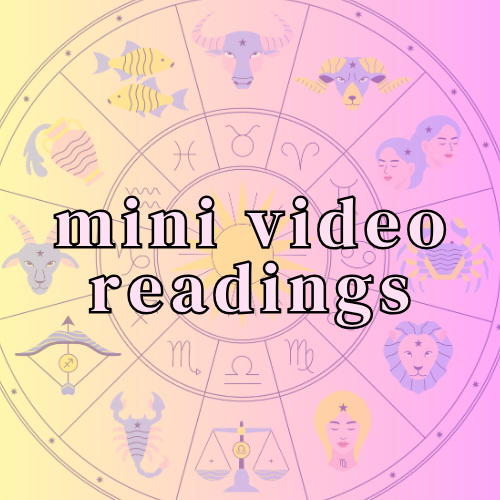 PRIVATE VIDEO MINI READING